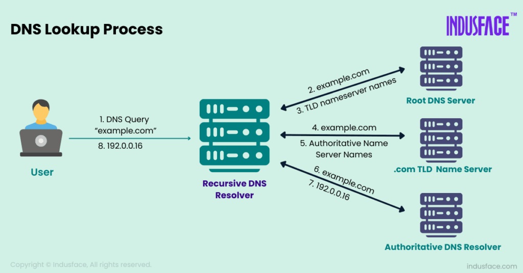 Step by step DNS lookup and resolution process
